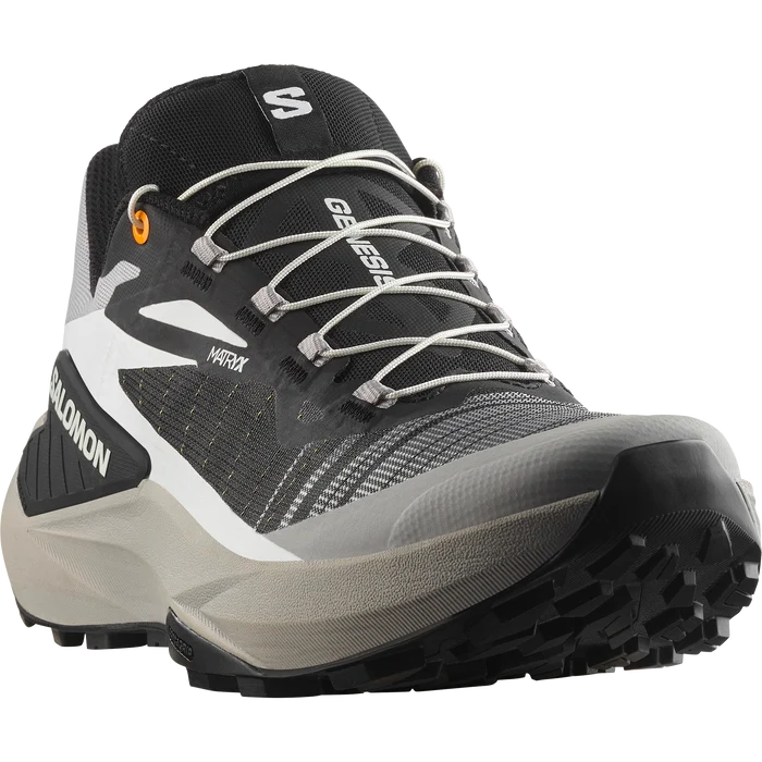 #color_BLACK/METAL/INCABERRY