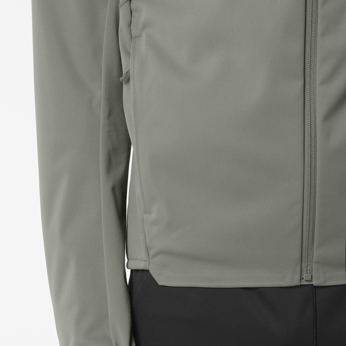 #color_GASTOR GRAY